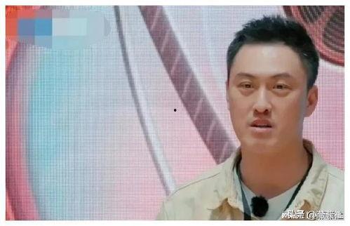 娱乐圈吃瓜爆料再就业,吃瓜群众变身职场新秀，揭秘明星再就业幕后故事