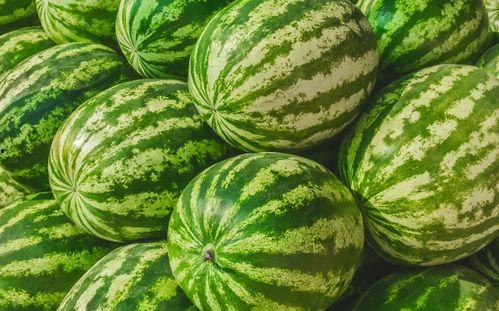 娱乐吃瓜素材在哪找到的,娱乐吃瓜素材的来源大揭秘